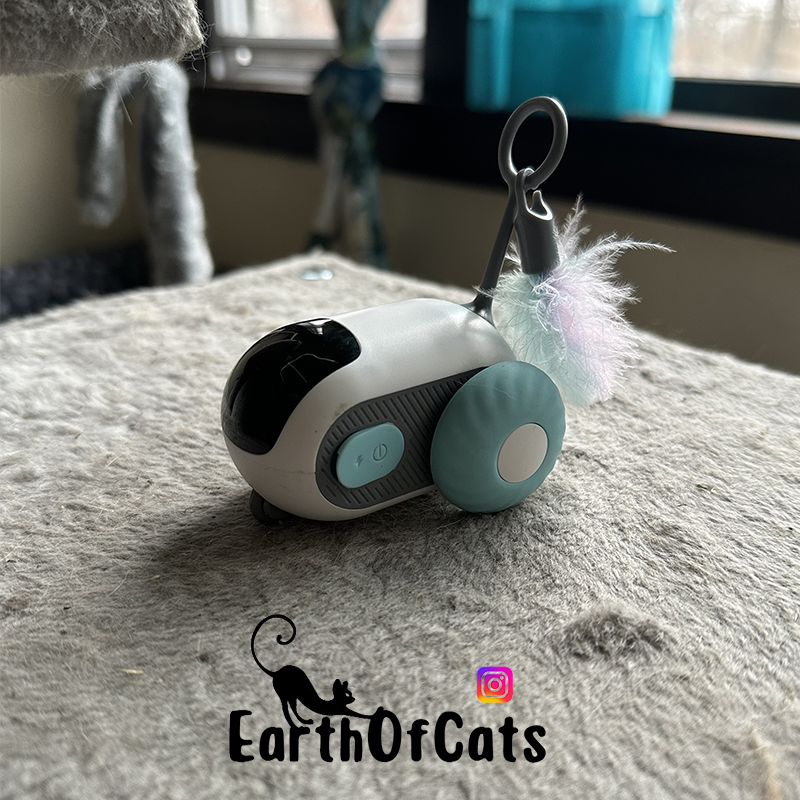 EarthOfCats - Cat Track RC™